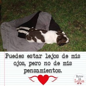 Meet your Posher, Angel